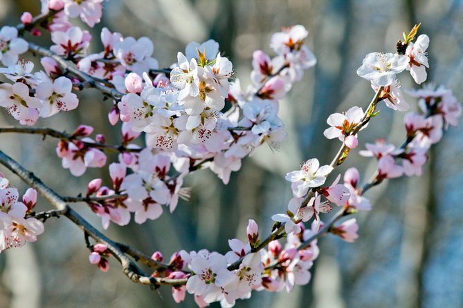 Private Customized Beijing Garden Tour - Good To Know