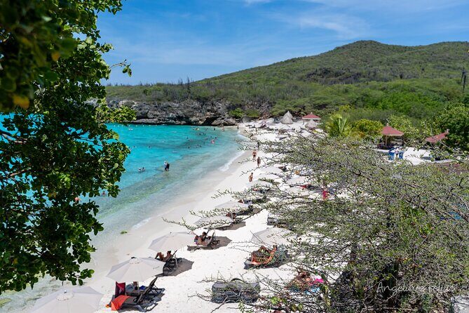 Private Customized Day Tour in Curaçao - Who Will Love This Tour?