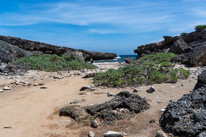 Private Customized Day Tour in Curaçao - Final Thoughts