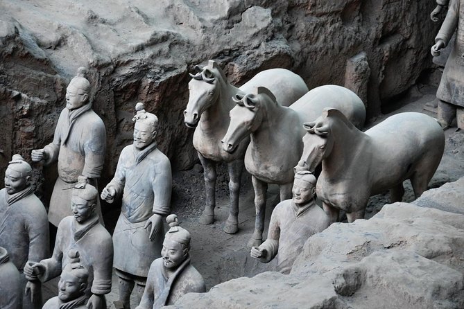 Private Customized Day Tour of Xian Terracotta Warriors and Horses Museum With Sightseeing Option - Customer Reviews and Feedback