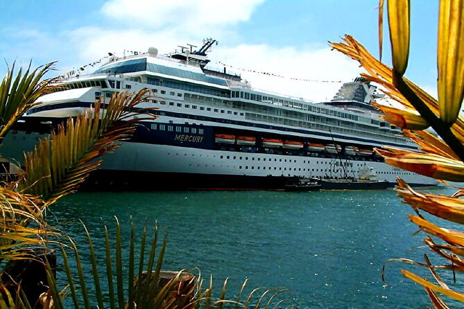 Private Customized French Riviera Tour From Port of Cannes 8H - Traveler Experiences