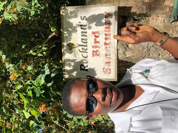 Private & Customized Montego Bay Highlight Tour From Montego Bay - Common Questions
