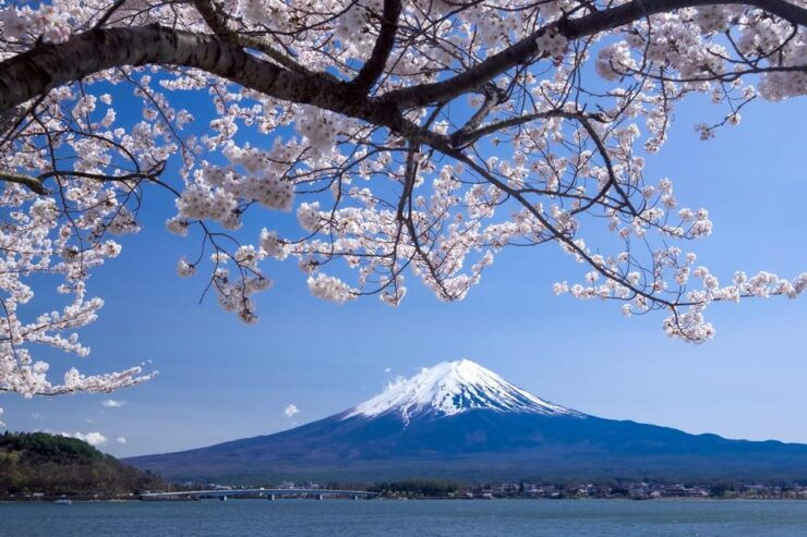 Private Customized Tour in Mount Fuji - Good To Know
