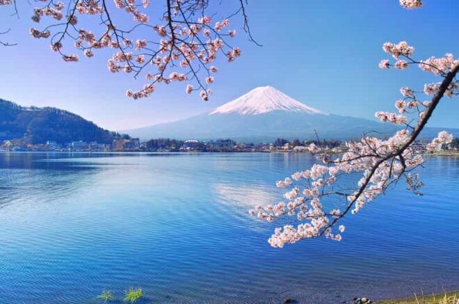 Private Customized Tour in Mount Fuji - Transportation Options