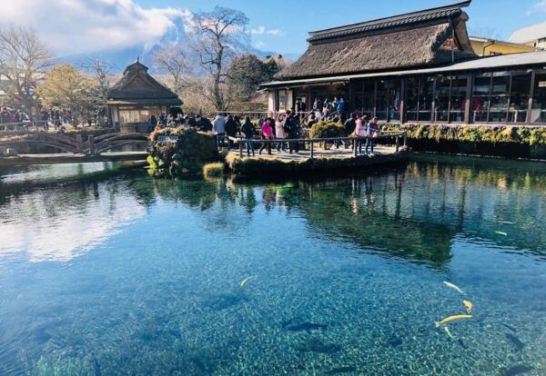 Private Customized Tour in Mount Fuji - Customer Service Availability