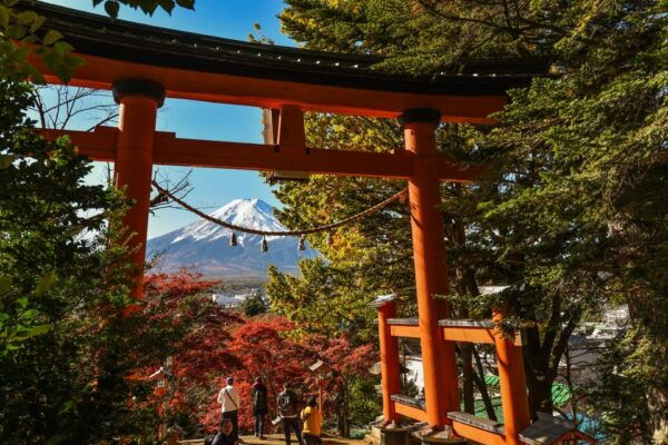 Private Customized Tour in Mount Fuji - Inclusions and Costs