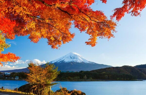 Private Customized Tour in Mount Fuji - Customization Options