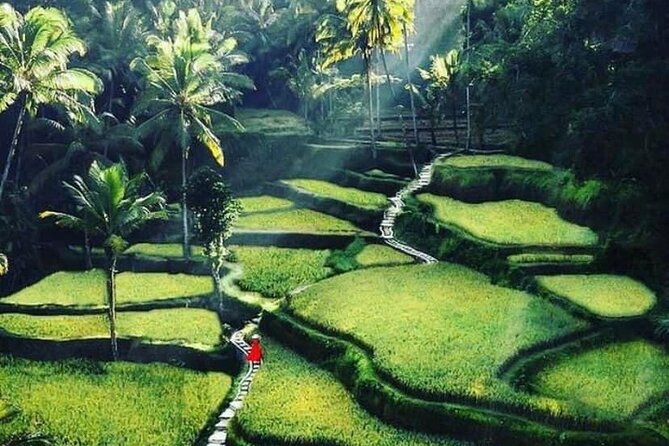 Private Customized Tour With Local Guide - Tour Inclusions