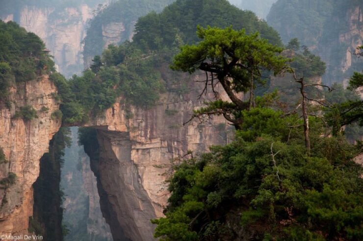 Private Cycling Day Trip to Zhangjiajie Fairy Stream - Good To Know