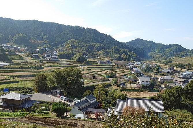 Private Cycling Tour in the First Capital of Japan - Scenic Cycling Routes