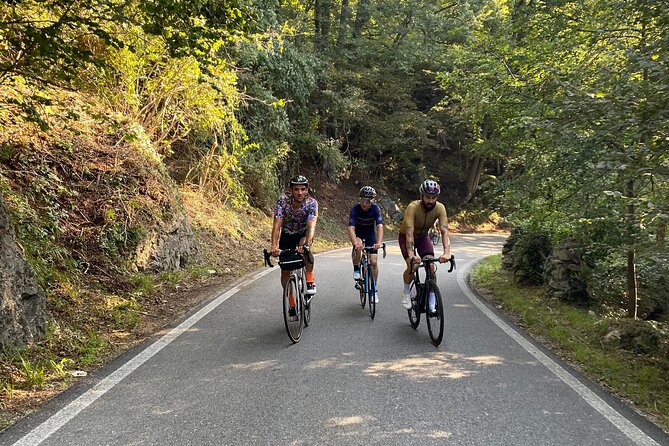 Private Cycling Tour in Tokyo With English or Italian Guide - Tour Experience