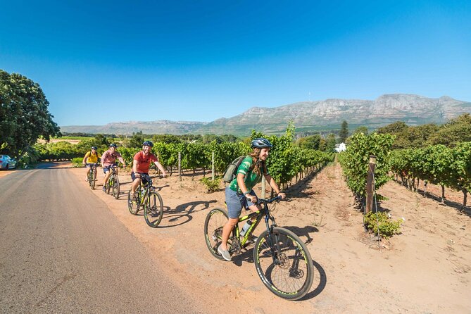 Private Cycling Tour of Constantia Winelands - Tour Highlights