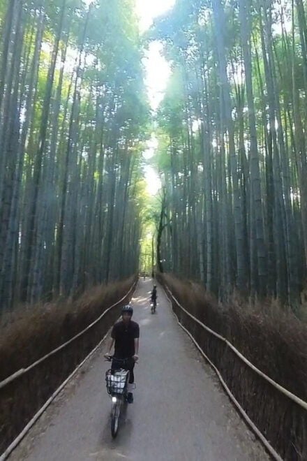 (Private) Cyclingtour in Arashiyama: EBIKE Tour With Guide - Participant Requirements