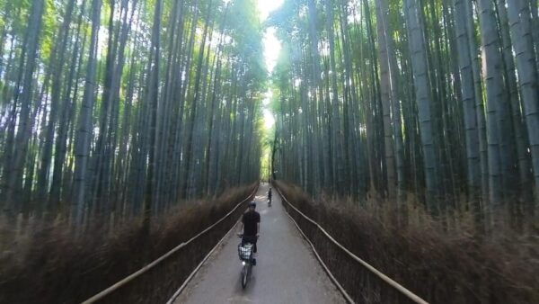 (Private) Cyclingtour in Arashiyama: EBIKE Tour With Guide - Eco-Friendly Cycling