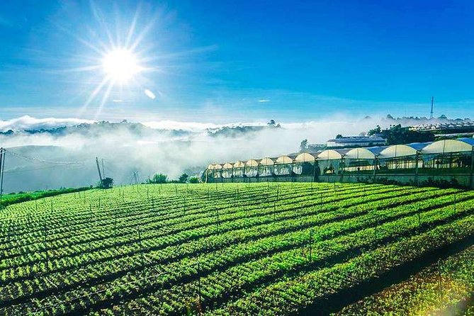 Private Da Lat 3 Days 2 Nights From Saigon - Note