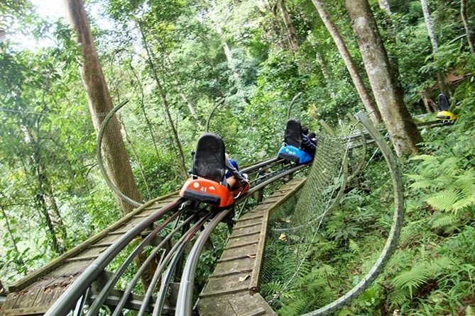 Private Da Lat City Excursion (Starting at Nha Trang City Central) - Tour Inclusions