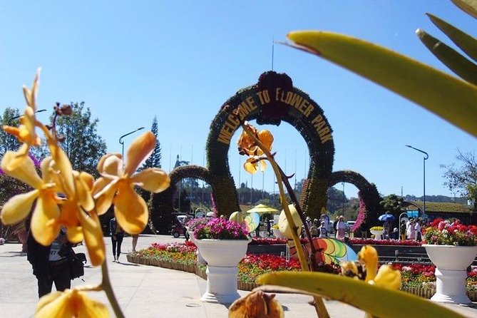 Private Da Lat City Excursion (Starting at Nha Trang City Central) - The Sum Up