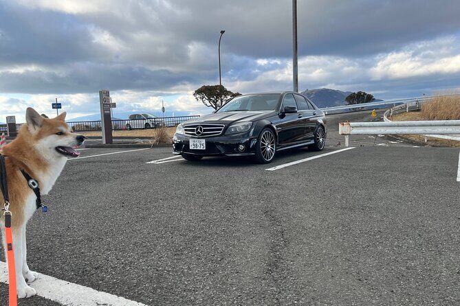 Private Daikoku Parking Area, Hakone turn Pike, Umihotaru Tours - The Itinerary in Detail