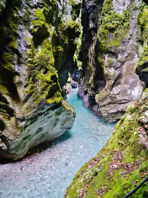 Private: Damajagua Waterfalls Adventure with Jungle Trek - Final Thoughts