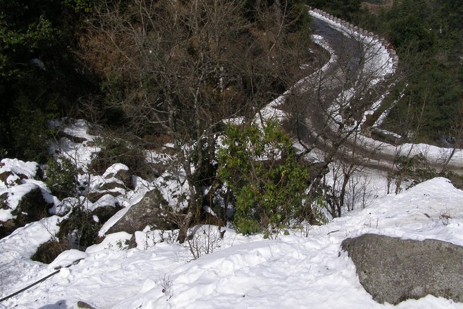 Private Daman Village Day Trip From Kathmandu - Himalayan Peak Viewing