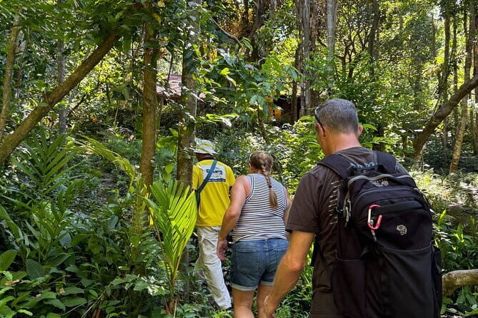 Private Danang Hidden Gems Motorbike Tour - The Experience from Real Travelers