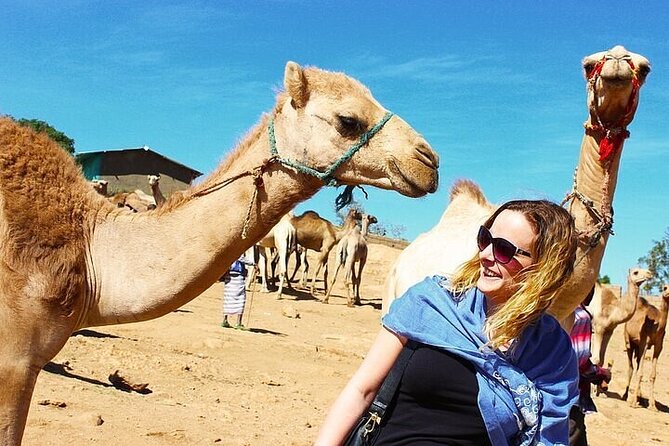 Private Daraw Camel Market Half-Day Tour From Aswan - Good To Know