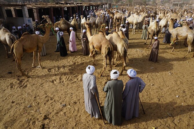 Private Daraw Camel Market Half-Day Tour From Aswan - Tour Details