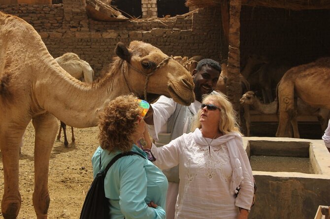 Private Daraw Camel Market Half-Day Tour From Aswan - Booking Process