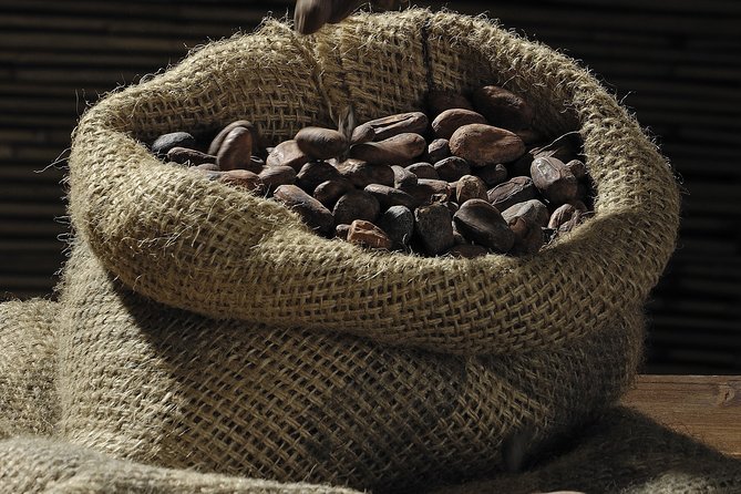 Private Dark Chocolate Tasting Tour in Paris - Hand-Picked Selection of Fine Dark Chocolate