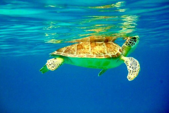 Private Day Charter Classic Sailboat - Good To Know