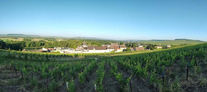 Private day - Cruise through the Champagne vineyards - Final Thoughts