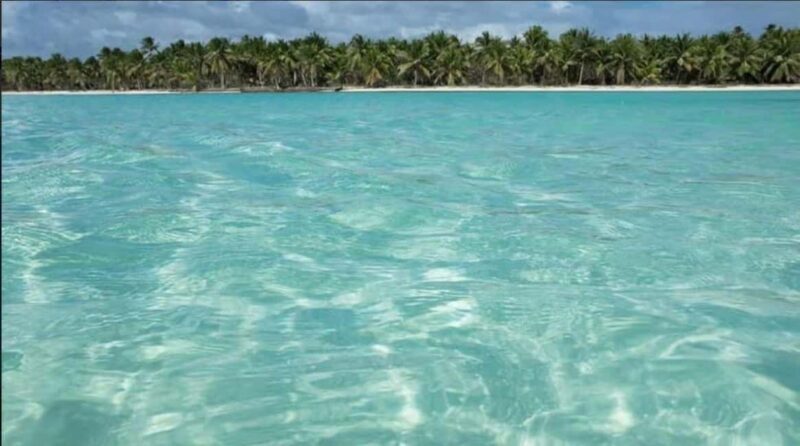 Private Day Excursion to Saona Island from Juan Dolio - Discover the Charm of a Private Day Excursion to Saona Island from Juan Dolio
