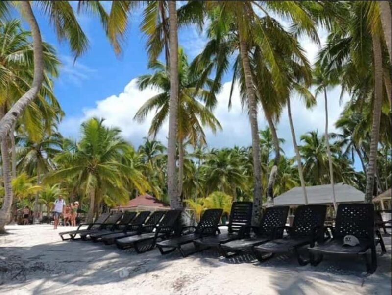 Private Day Excursion to Saona Island from Juan Dolio - Good To Know