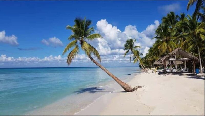 Private Day Excursion to Saona Island from Juan Dolio - Who Will Love This Tour?