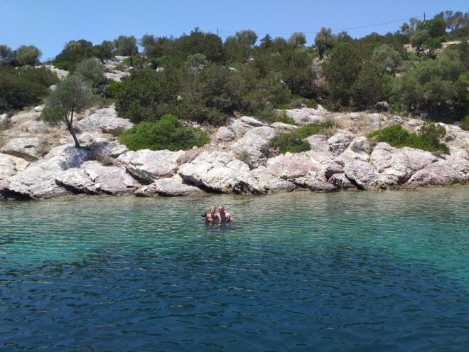 Private Day Gruises With Catamaran - Highlights