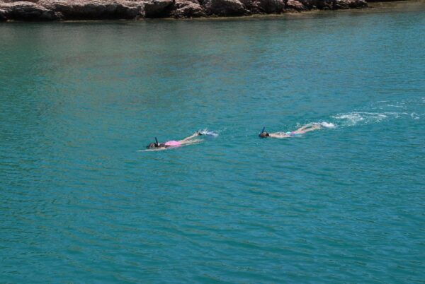 Private Day Gruises With Catamaran - Frequently Asked Questions