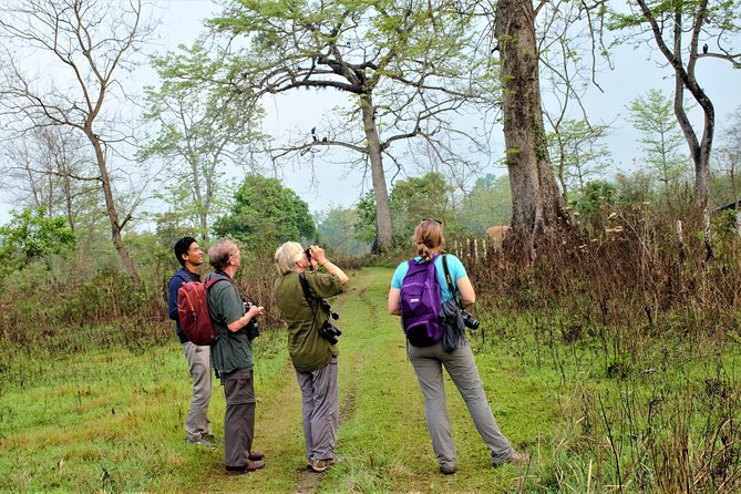 Private Day Hike and Birding Tour, Shivapuri National Park  - Kathmandu - Captivating Traveler Photos