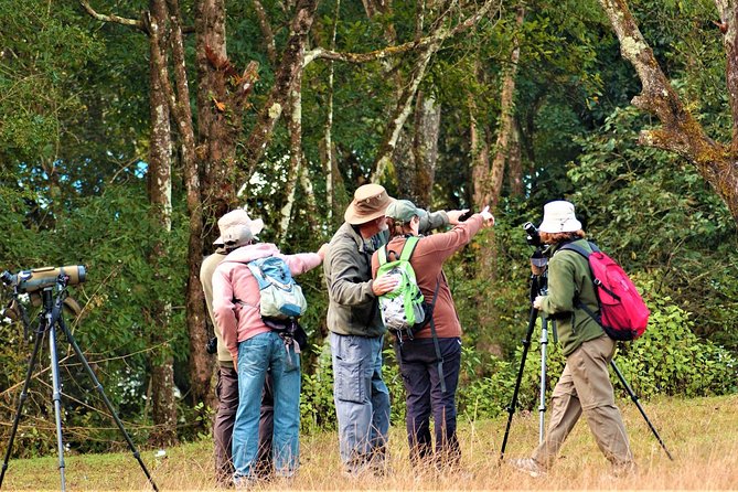 Private Day Hike and Birding Tour, Shivapuri National Park  - Kathmandu - Assistance and Support