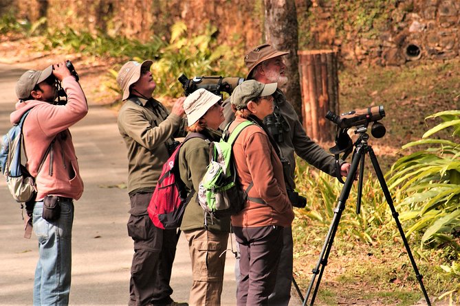 Private Day Hike and Birding Tour, Shivapuri National Park  - Kathmandu - Pricing and Terms