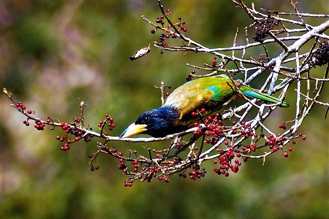 Private Day Hike and Birding Tour, Shivapuri National Park  - Kathmandu - Common Questions