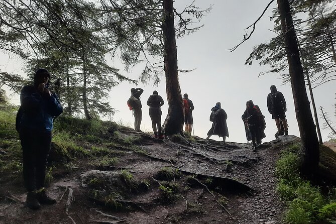 Private Day Hike From Brasov to Malaiesti Cottage - Experience a Private Guided Trek