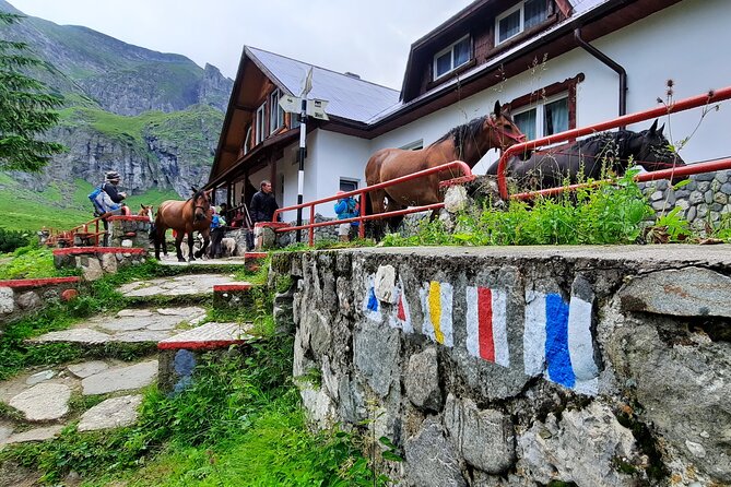 Private Day Hike From Brasov to Malaiesti Cottage - Enjoy Hassle-Free Transportation Services