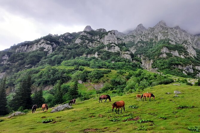 Private Day Hike From Brasov to Malaiesti Cottage - Requirements and Recommendations for Hikers