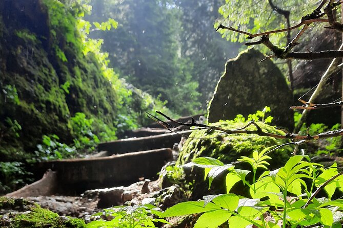 Private Day Hike From Brasov to Malaiesti Cottage - Pricing, Reviews, and Guarantee