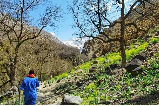 Private Day Hike From Marrakech To The Atlas Mountains - Camel Ride Included