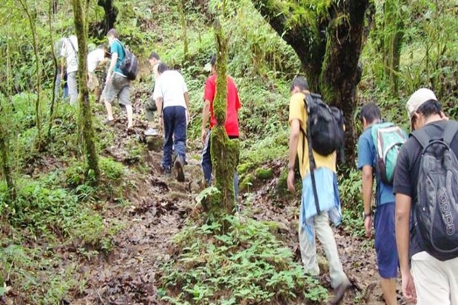 Private Day Hike to Shivapuri - Route and Trail Details