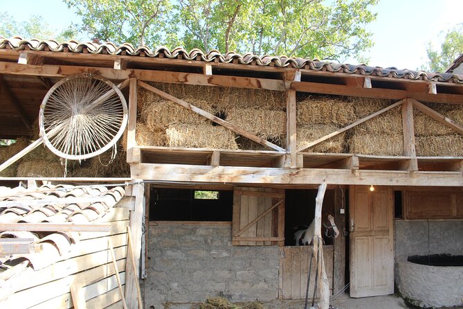 Private Day Horse Riding Trip to Sighnaghi With Lunch and Wine/Beer. - Trip Overview