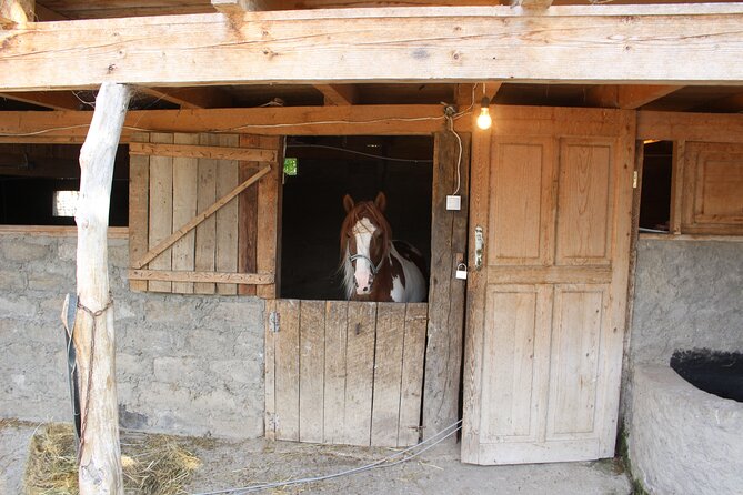 Private Day Horse Riding Trip to Sighnaghi With Lunch and Wine/Beer. - Inclusions and Exclusions