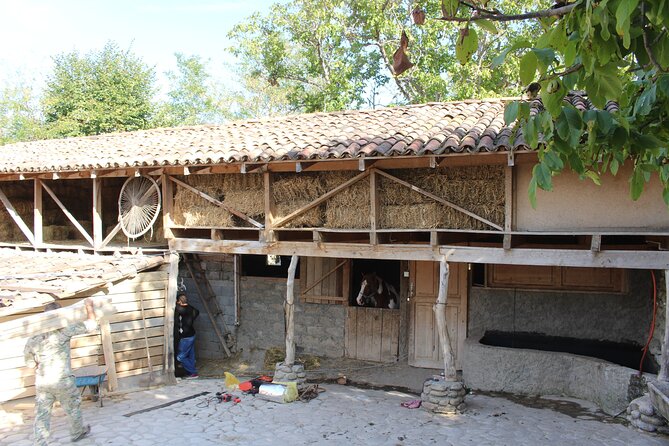 Private Day Horse Riding Trip to Sighnaghi With Lunch and Wine/Beer. - Experience Highlights