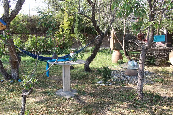 Private Day Horse Riding Trip to Sighnaghi With Lunch and Wine/Beer. - Customer Review